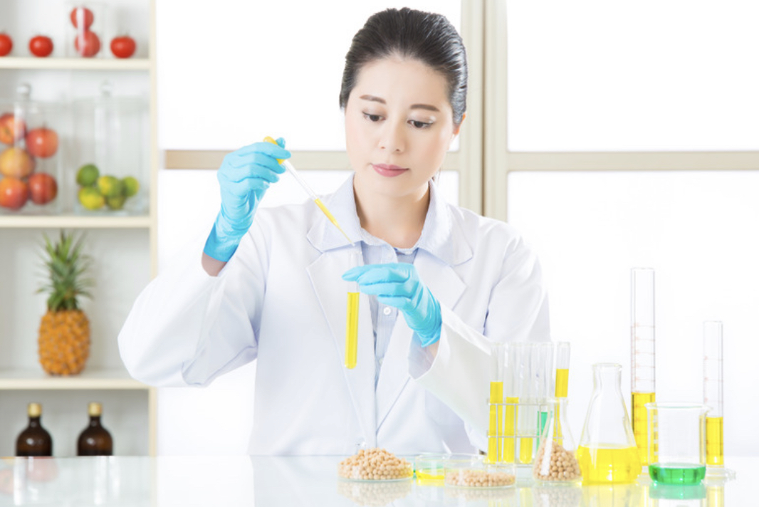 weight loss programs