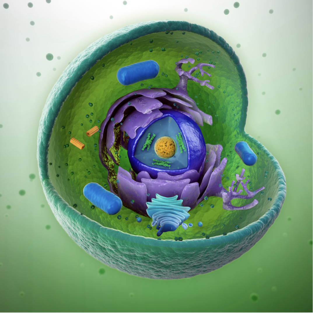 nutritionist in gurgaon